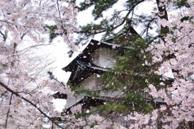 弘前城、辰巳櫓の桜吹雪