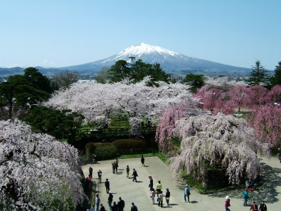 弘前公園について | 弘前公園総合情報