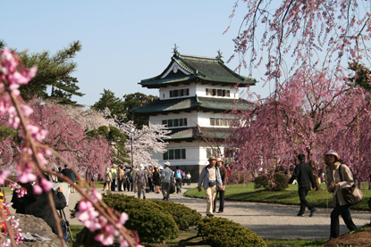 弘前さくらまつり | 弘前公園総合情報