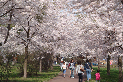 富士見湖パーク（フジミコパーク）