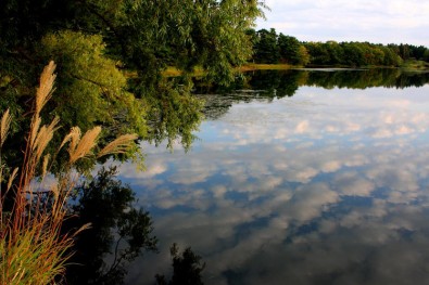 野木和公園の湖