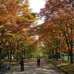 弘前公園　紅葉の秋