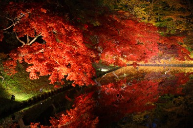2013年の弘前城菊と紅葉まつり