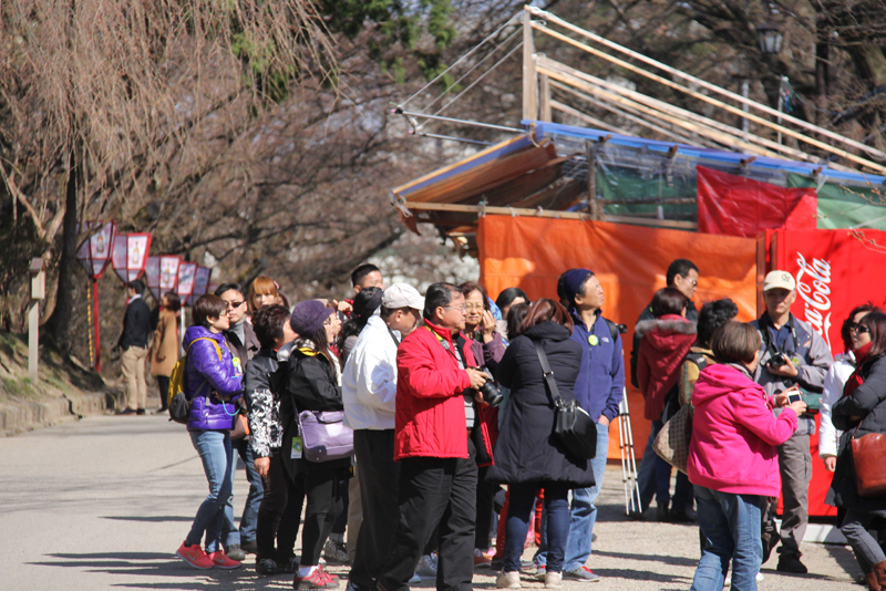 弘前公園は海外からの観光客の方が多く訪れておりました