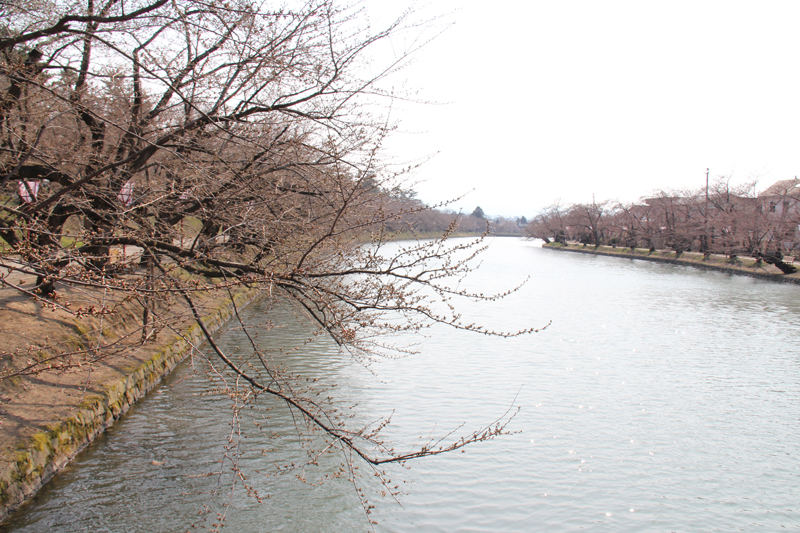 弘前公園（弘前城）・西濠とボート 今の様子