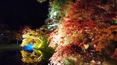 弘前城　菊と紅葉まつり