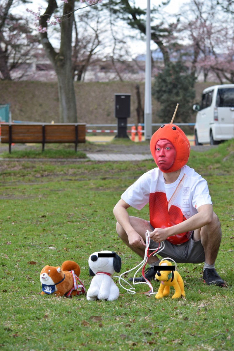 弘前公園 ペットの散歩は禁止