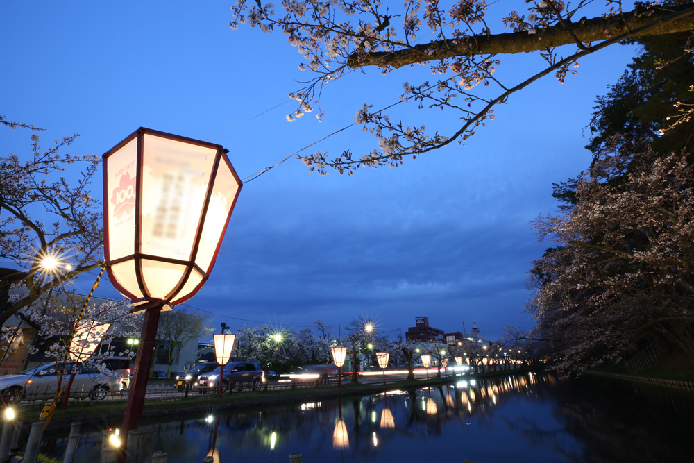 東門付近 弘前公園・夜桜