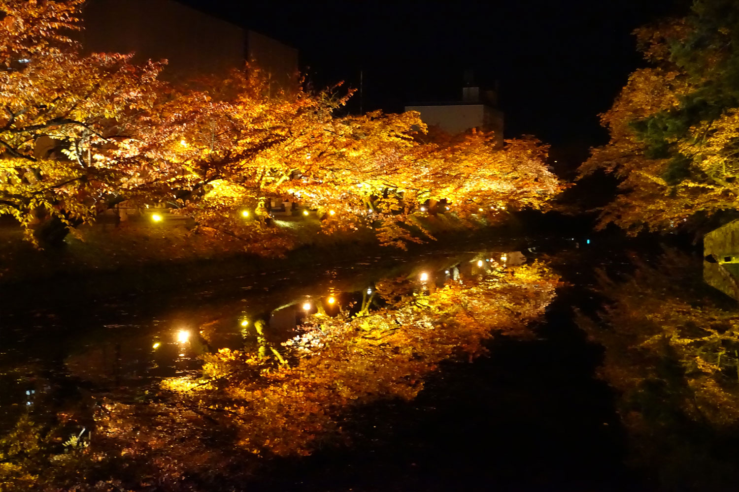 弘前公園 弘前城菊と紅葉まつり
