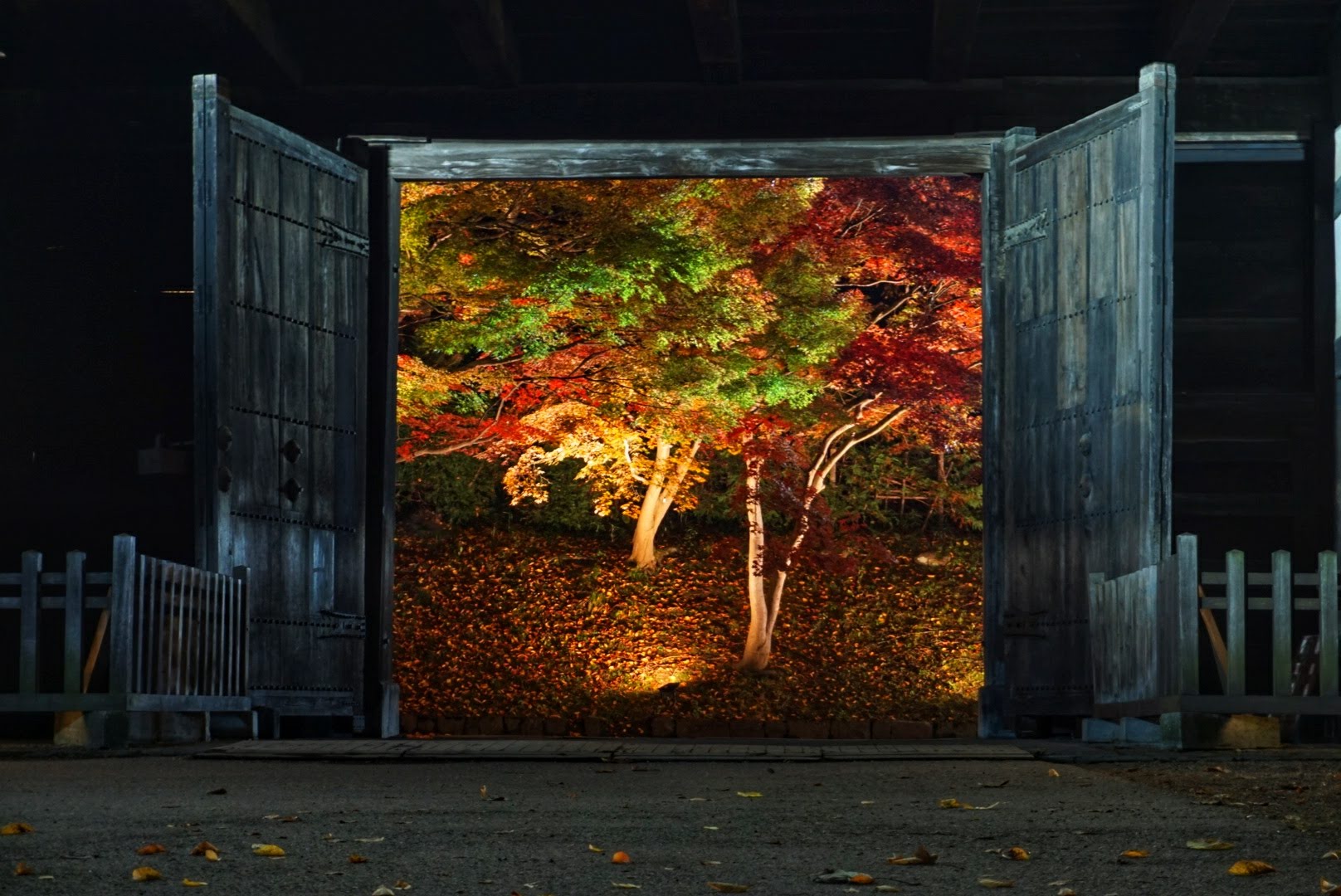 紅葉様オーダー品ページ 紅葉様 専用オーダーページ