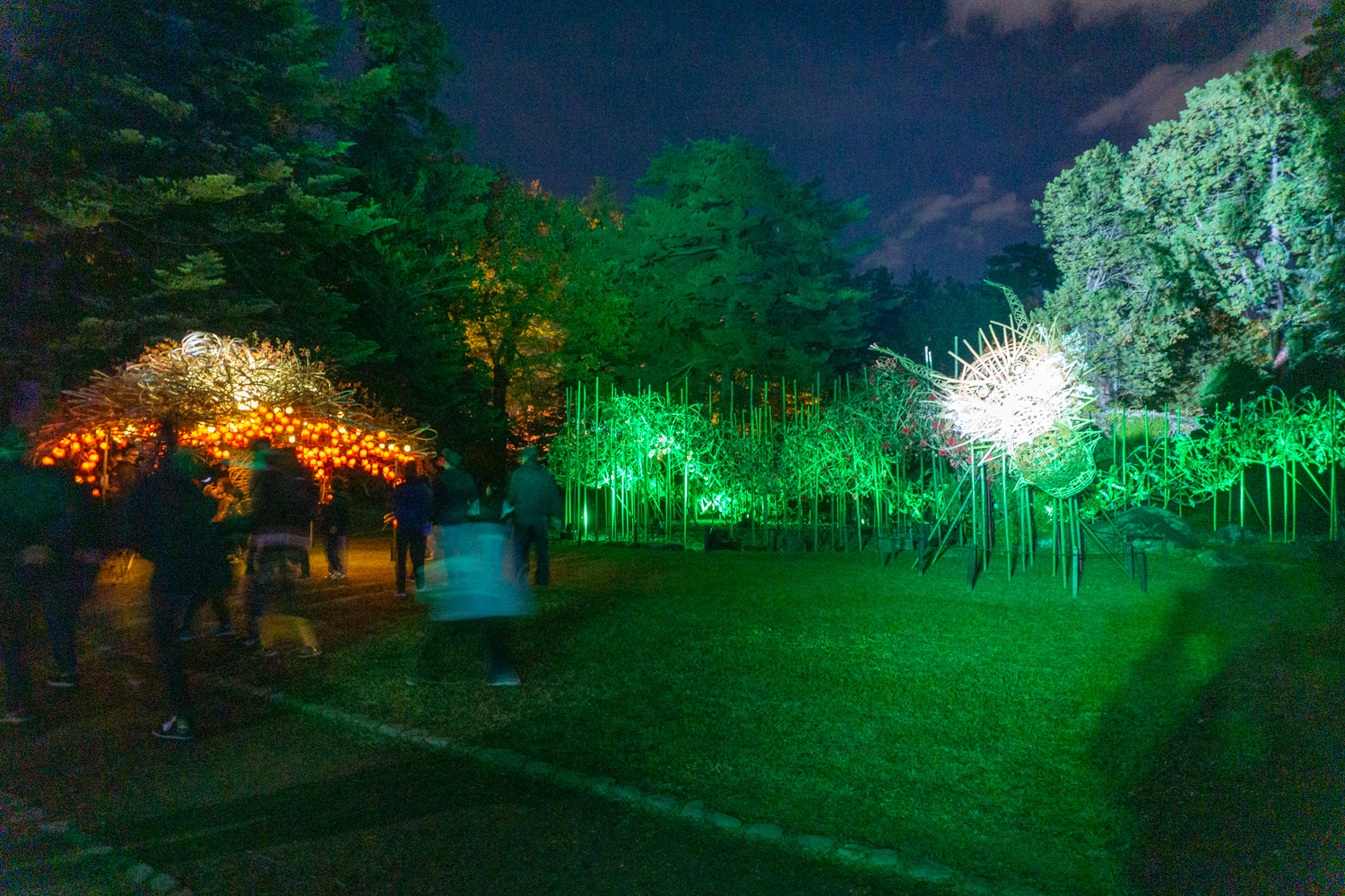 2022年10月28日～11月6日「弘前城菊と紅葉まつり」開催 | 弘前公園総合情報