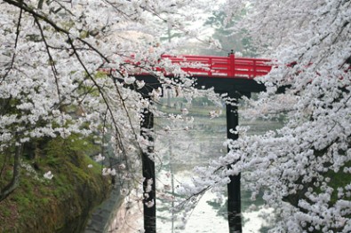 弘前城「内濠に映る下乗橋」
