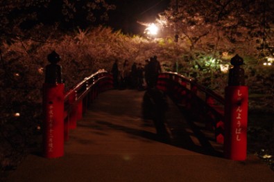 弘前公園（弘前城）の夜桜と春陽橋