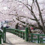 弘前公園（弘前城）一陽橋