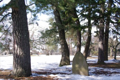 弘前城皇太子殿下御手植松