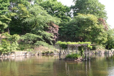 弘前城（弘前公園）の蓮池