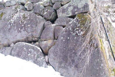 弘前城の亀の石