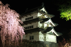 弘前公園さくらまつり　夜桜