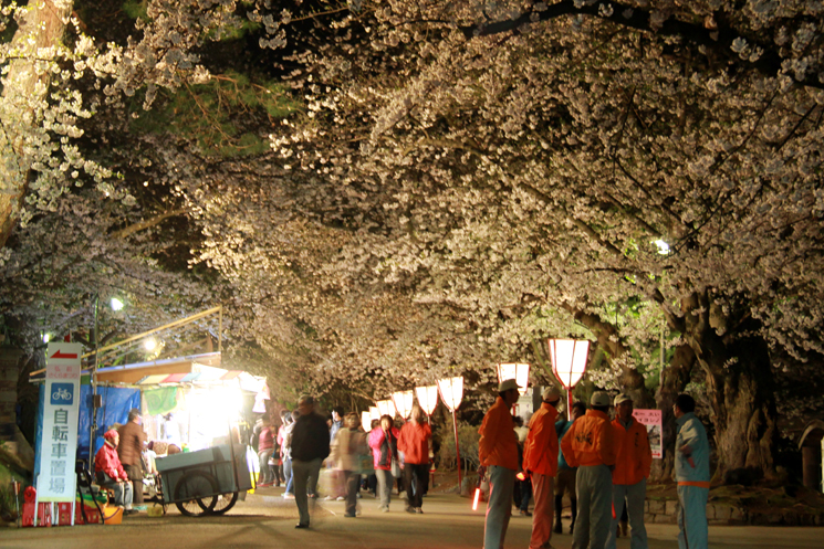 2013年5月8日（水）弘前さくらまつり夜桜の様子。ライトアップは5月12日まで！