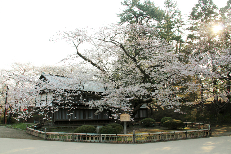 NHKプロフェッショナル 仕事の流儀でも紹介された弘前公園 日本最古のソメイヨシノ（桜）