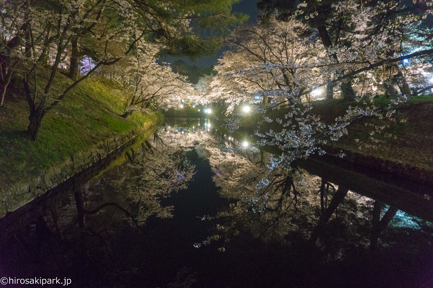 弘前公園　（2018年4月22日　撮影）