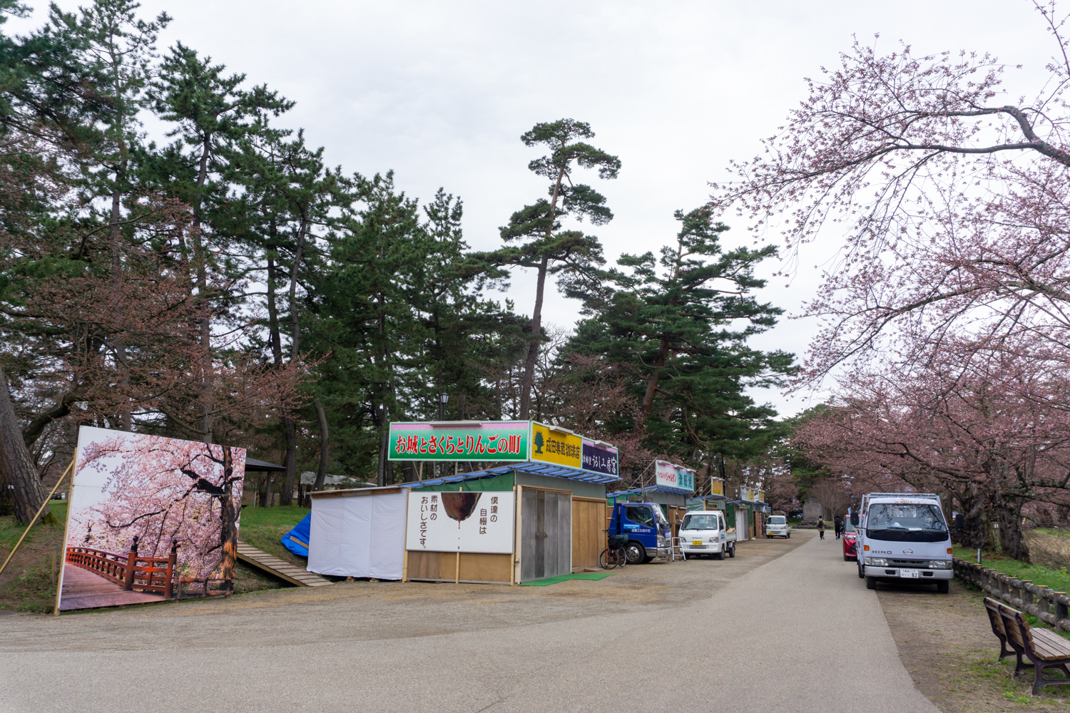 (2021年4月14日撮影)弘前公園　桜
