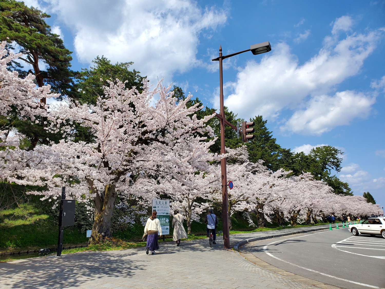 (2021年4月19日撮影)弘前公園　桜