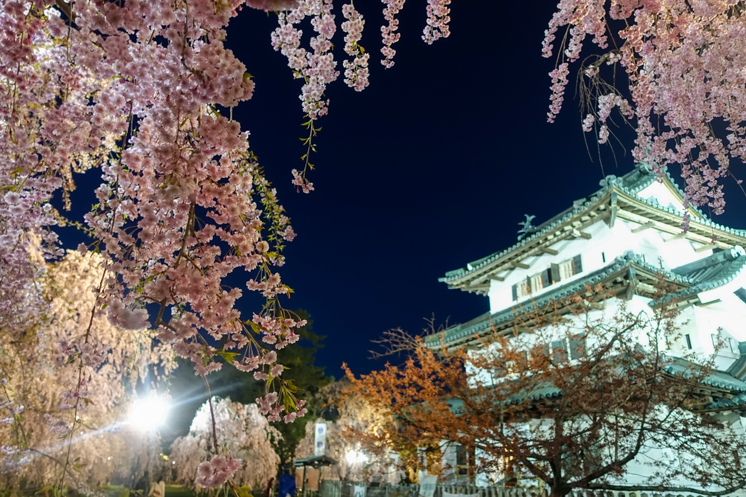 2021年弘前さくらまつり 夜桜の様子