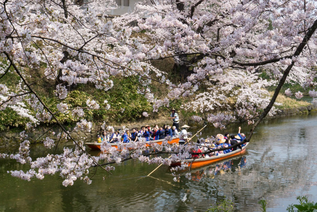 弘前さくらまつり 夜間ライトアップ |弘前公園- 弘前さくらまつり-Hirosaki Cherry Blossom Festival