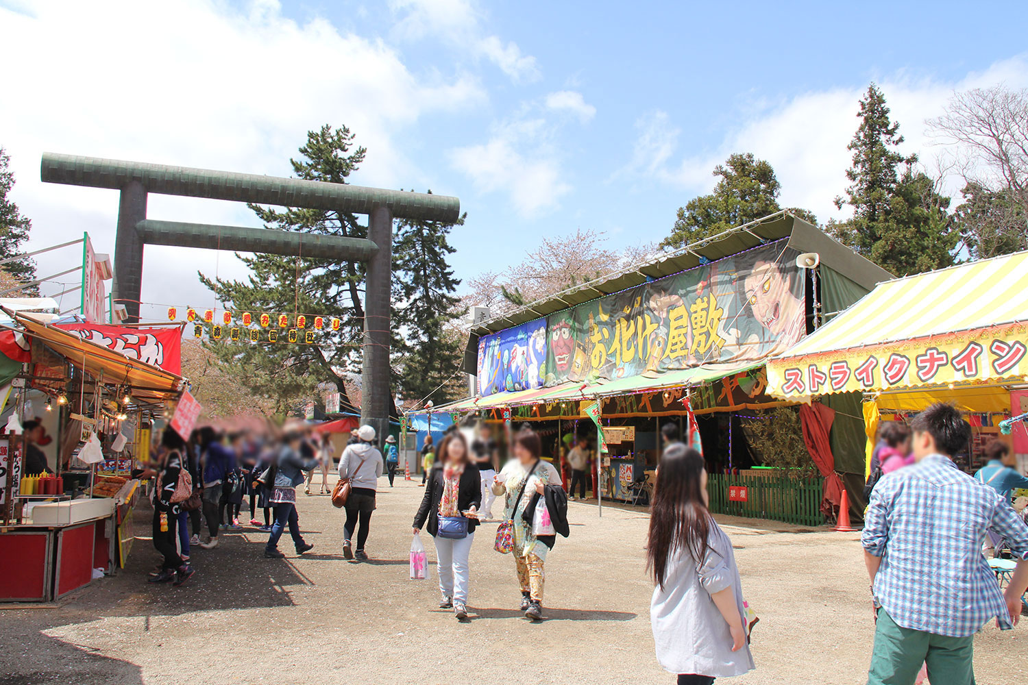 弘前公園の桜 剪定枝の配布 - 弘前さくらまつり-Hirosaki Cherry Blossom Festival