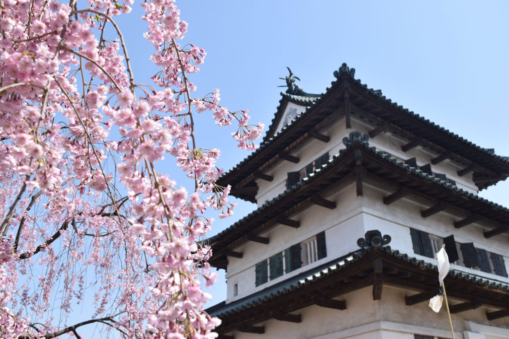 弘前公園(弘前城)の桜おすすめ撮影スポット - 弘前さくらまつり-Hirosaki Cherry Blossom Festival
