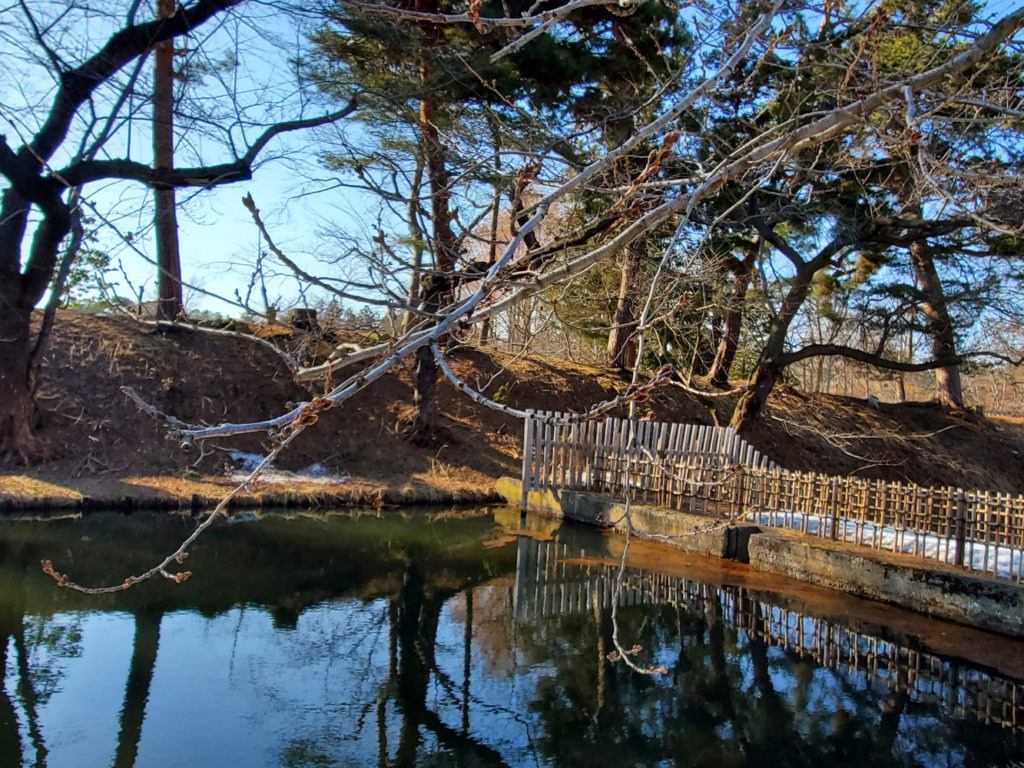 弘前公園外濠の桜の様子（2022年3月22日）