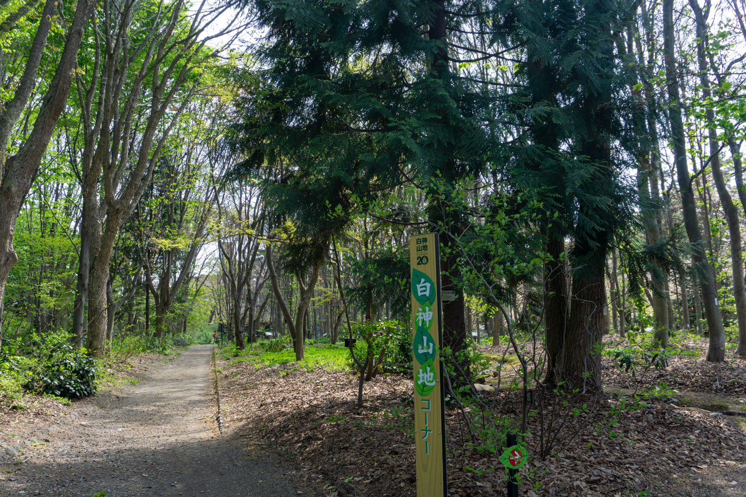 弘前城植物園の白神山地エリア