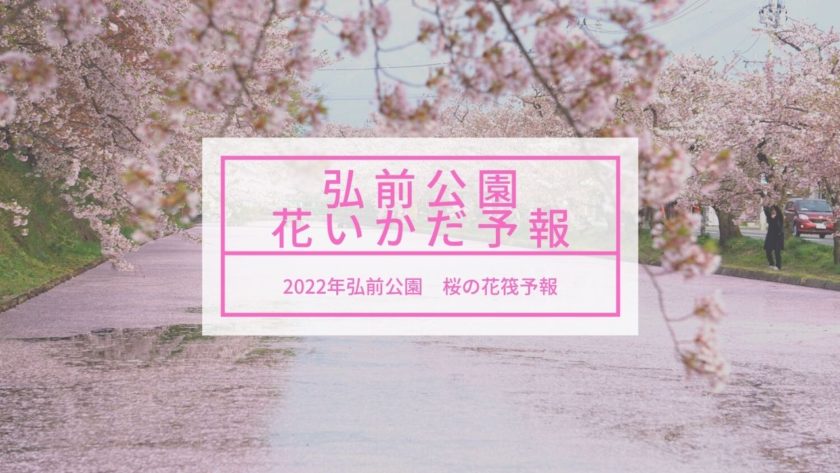 弘前公園 弘前城 桜の花筏 はないかだ 情報 弘前さくらまつり