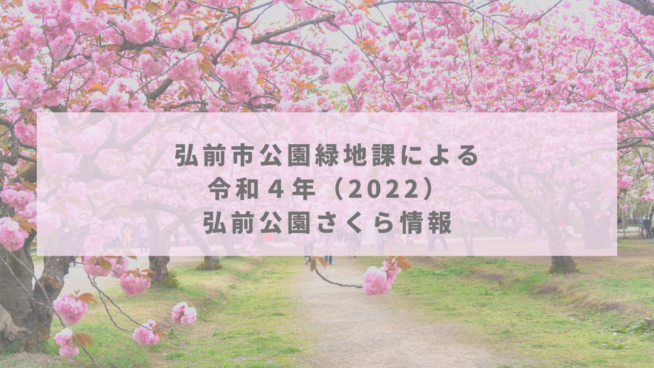 弘前市公園緑地課発表 弘前公園さくら情報 第24回 22 5 3 弘前さくらまつり