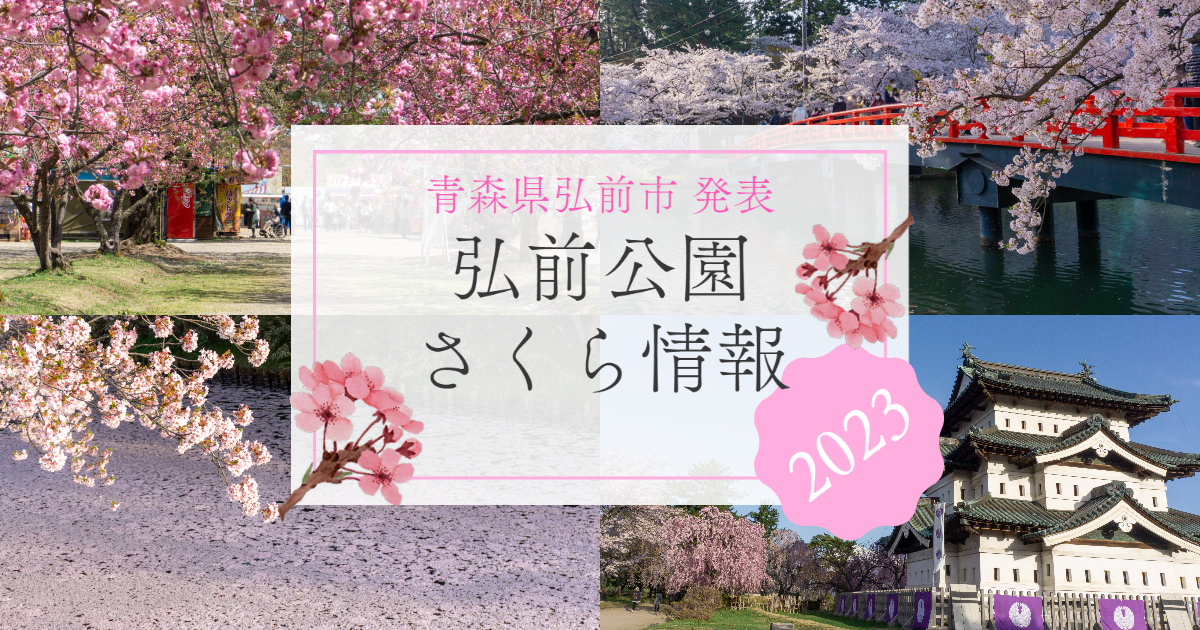 [資訊] 弘前公園櫻花時間