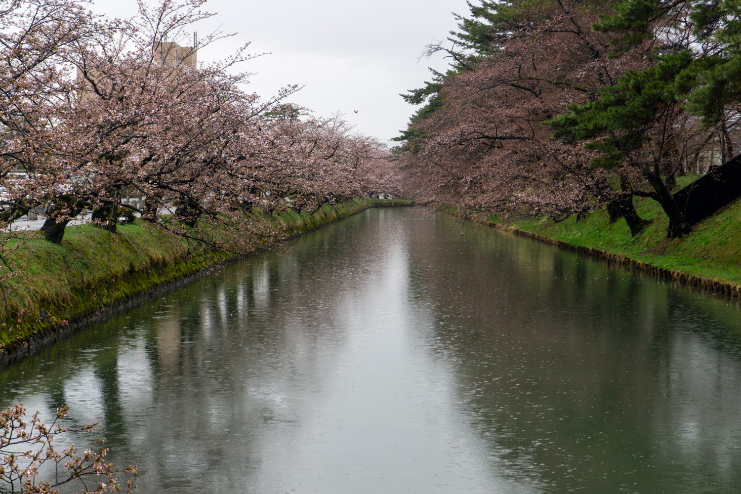 弘前公園外濠　追手門前