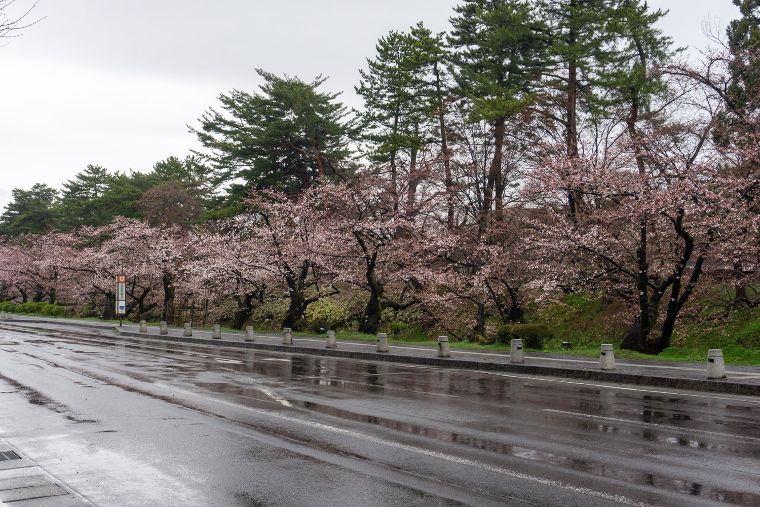 弘前公園外濠　市役所前