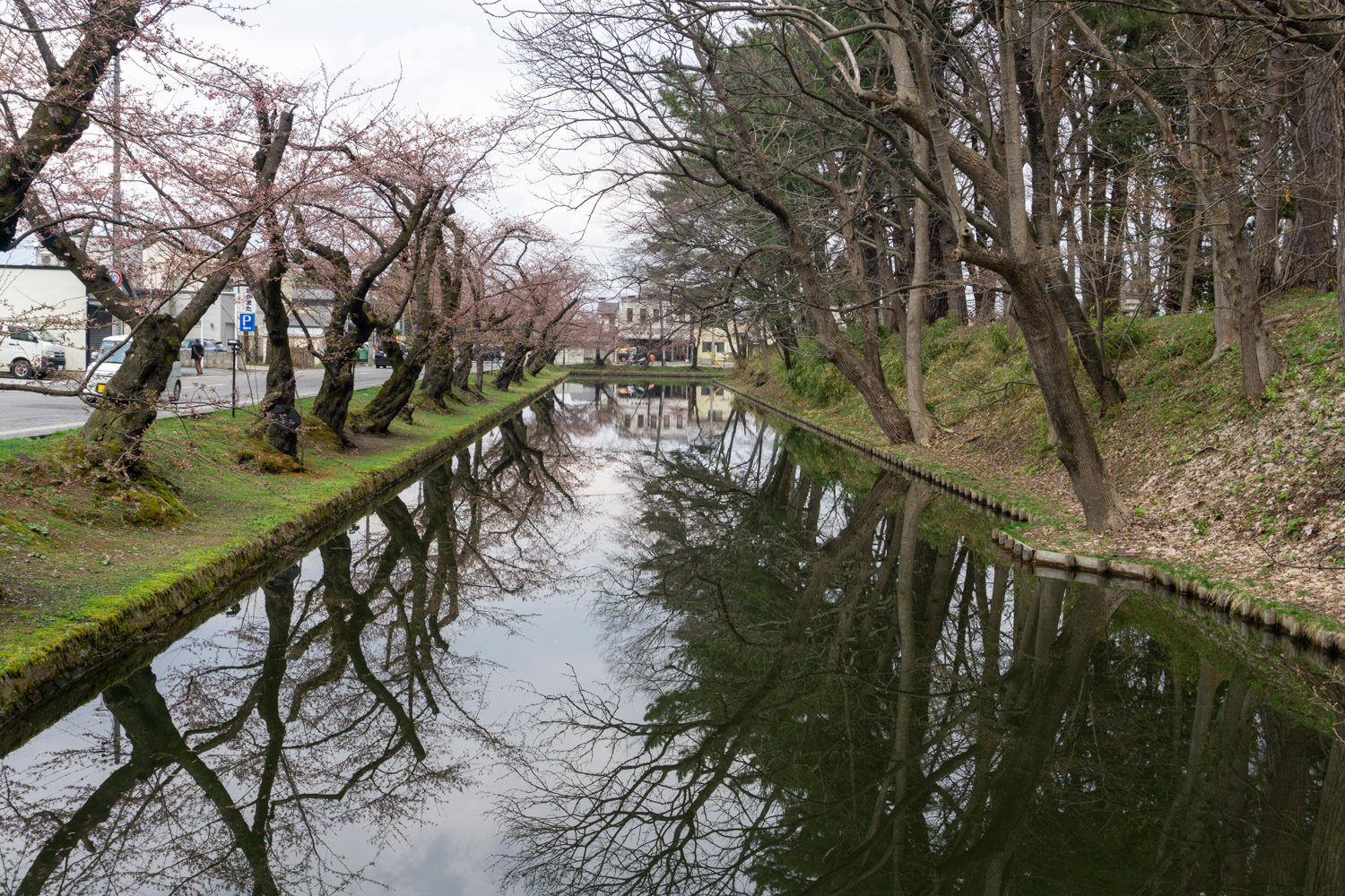 弘前公園外濠　市役所前