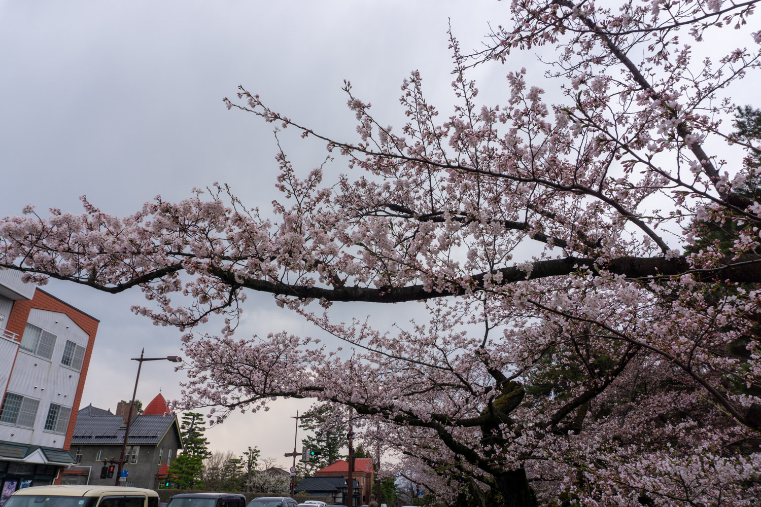 弘前公園外濠　追手門前