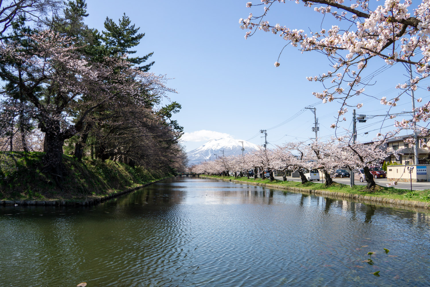 弘前公園外濠　北側