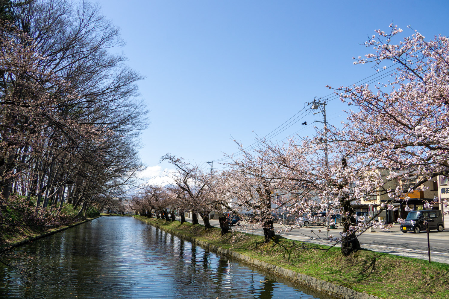 弘前公園外濠　北側