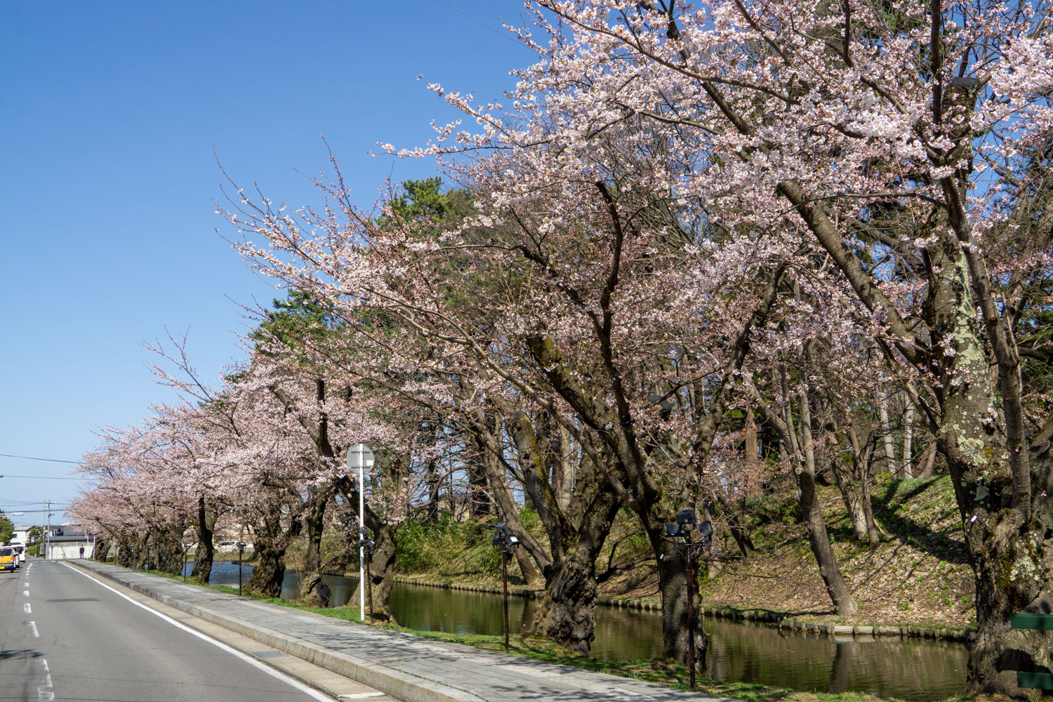 弘前公園外濠　北側