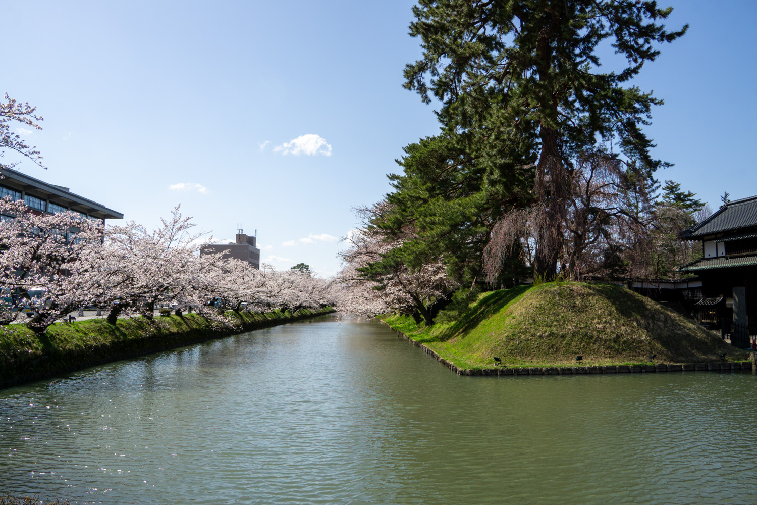 弘前公園外濠　追手門前