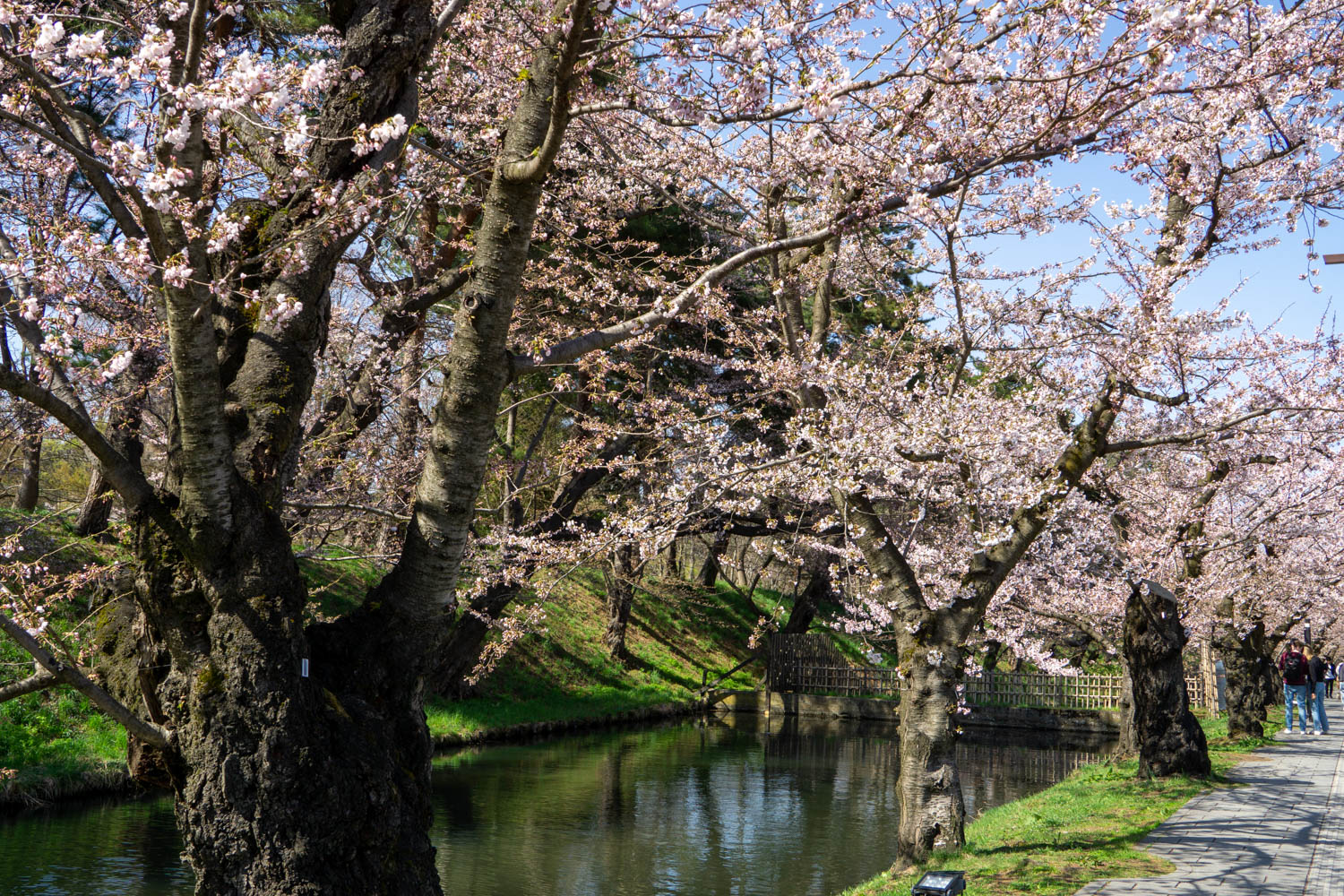 弘前公園外濠　東側
