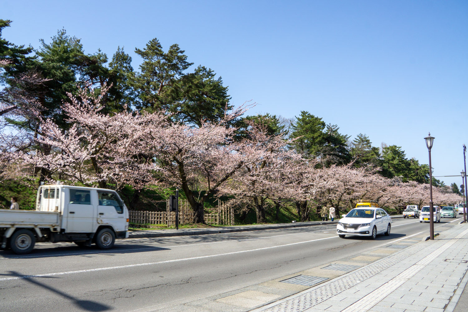 弘前公園外濠　東側