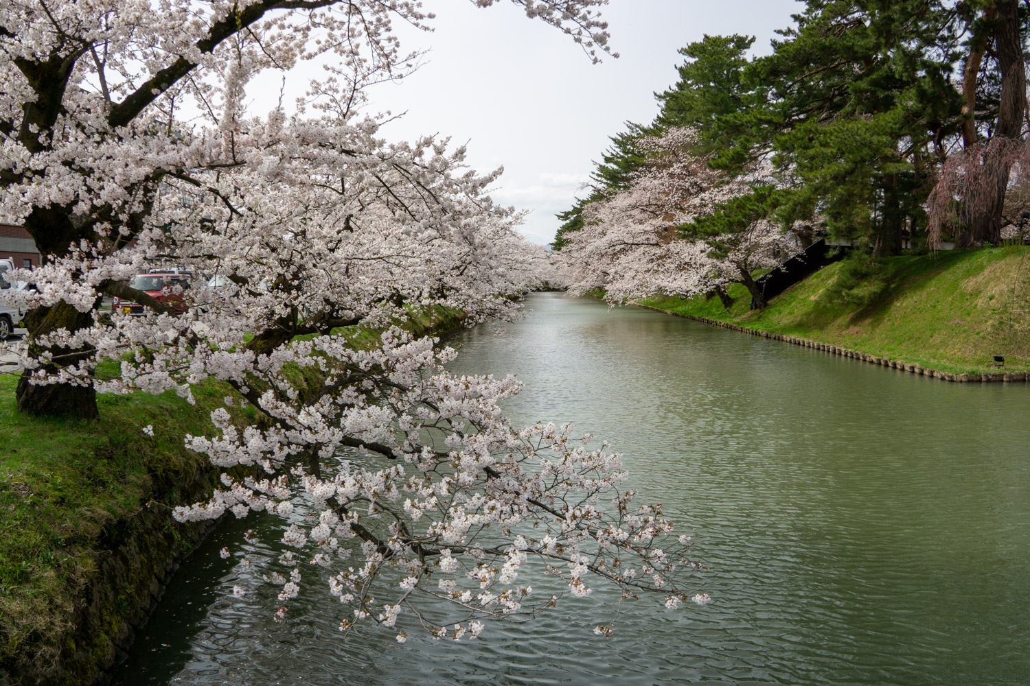 弘前公園外濠　追手門前