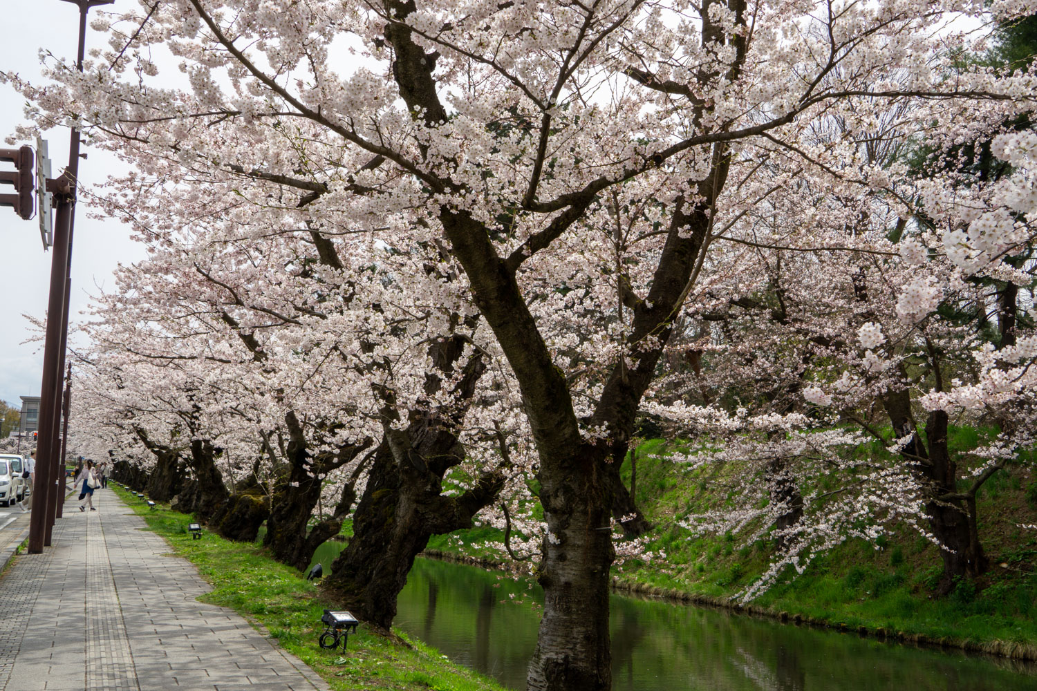 弘前公園外濠　追手門前