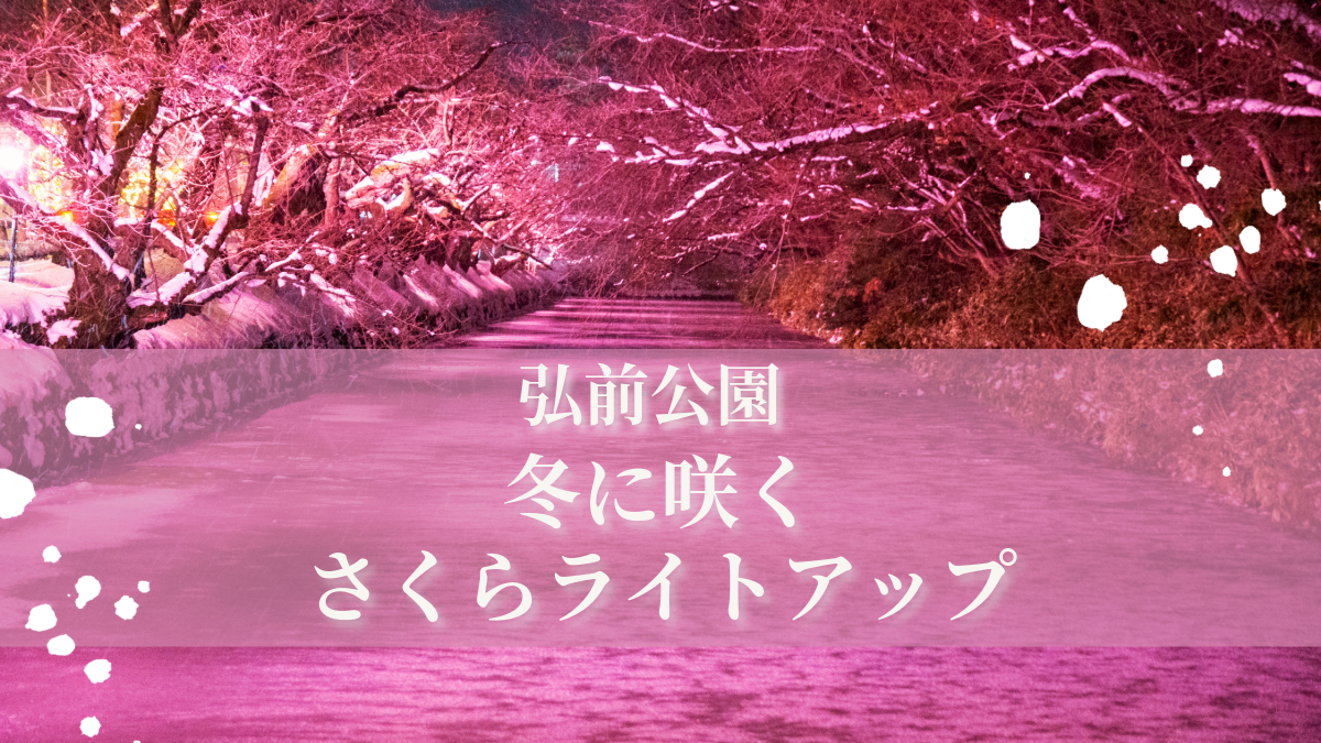 弘前公園「冬に咲くさくらライトアップ」2023～2024年シーズンも開催中