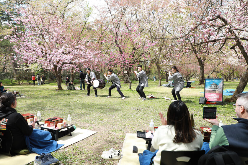 手ぶらで観桜会